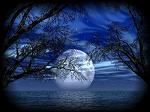 moonbeam_love_1