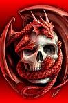 Red_Dragon_CRD