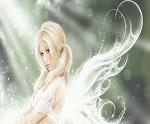 Absolute_Angel