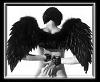 1Dark_Angel