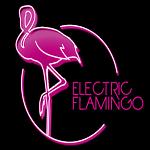 ElectricFlamingo