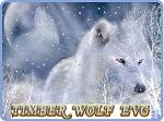 TIMBER_WOLF_EVG