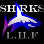 King_Lu_Shark