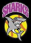 H_HLBERT_SHARKS