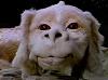 FALKOR_NES