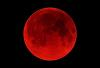 BloodMoon_Tem